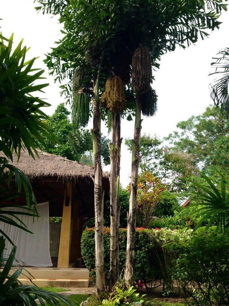 Palm Garden Resort Rawai Экстерьер фото